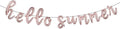 Hello Summer Balloons 16Inch Metallic Mylar Balloon by RUIANSI