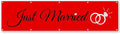 Just Married Flag Banner Outdoor Indoor Decoration Flag Double Stitched by Cayyon