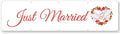 Just Married Flag Banner Outdoor Indoor Decoration Flag Double Stitched by Cayyon