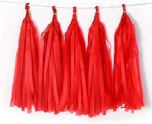 9.8in Red PaperTissue Paper Tassel DIY Hanging paper decorations Party Garland by Binpeng