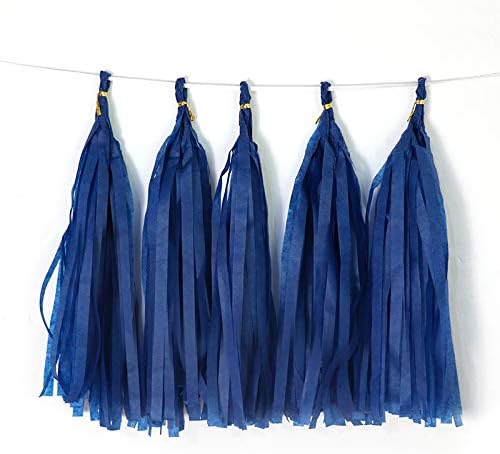 9.8in Tissue Paper Tassel DIY Hanging Paper Decorations Party Garland by Binpeng