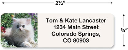 Cute Kittens Rolled Personalized Return Address Mailing Labels with Dispenser, Set of 500, 5 Designs, Small ¾ x 2½ Inch Size, Custom Self-Adhesive Sticker Roll, by Colorful Images