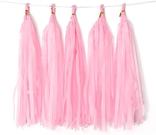 Pink Tissue Paper Tassel DIY Hanging Paper Decorations Party Garland by Binpeng