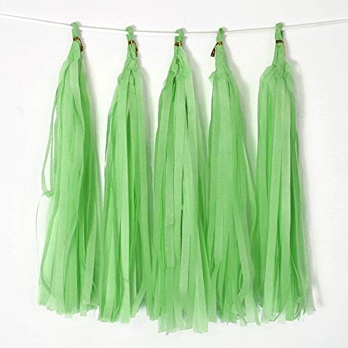 Tissue Paper Tassel DIY Hanging Paper Decorations Party Garland by Binpeng