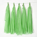 Tissue Paper Tassel DIY Hanging Paper Decorations Party Garland by Binpeng