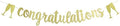 Congratulations Banner by KUNGOON