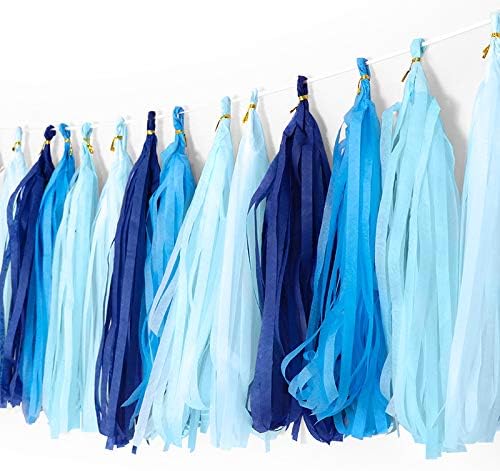 Tissue Paper Tassel DIY Hanging paper decorations Party Garland Decor by Binpeng