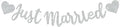 BEISHIDA Silvery Just Married Banner by Beishida