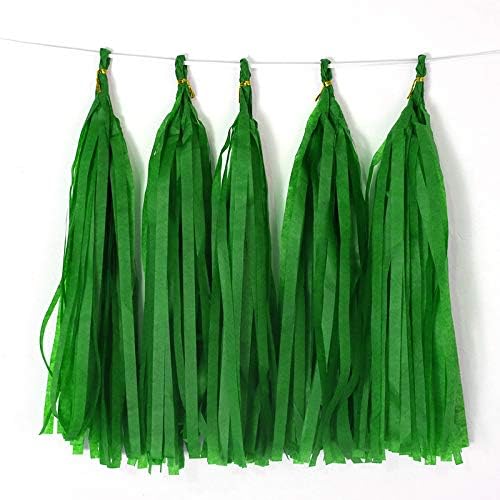 Tissue Paper Tassel DIY Hanging Paper Decorations Party Garland by Binpeng