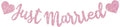BEISHIDA Pink Just Married Banner by Beishida