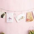 Multi-Purpose Steel Wall Hanging Photo Display Cable Wire Rod String with 12 Clips for Hanging Photos Notes and Artworks (Heart Shape Clip)