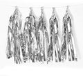 9.8in Silver Tissue Paper Tassel DIY Hanging Paper Decorations Party Garland by Binpeng