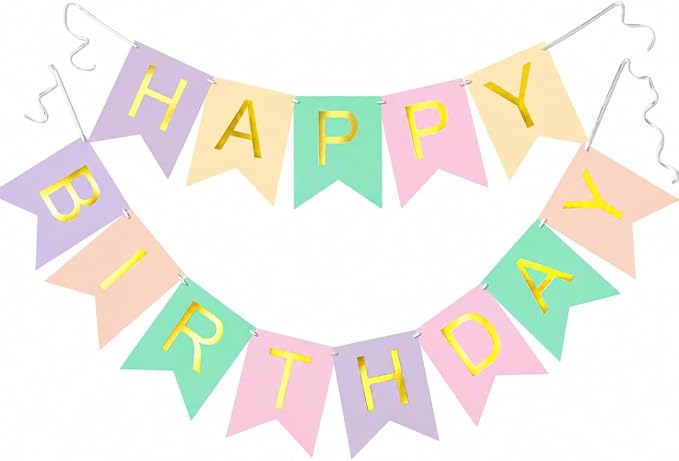 Letjolt Macarone Happy Birthday Banner Party Signs 13 Pcs | Colorful Funny by Letjolt