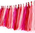 Tissue Paper Tassel DIY Hanging Paper Decorations Party Garland by Binpeng