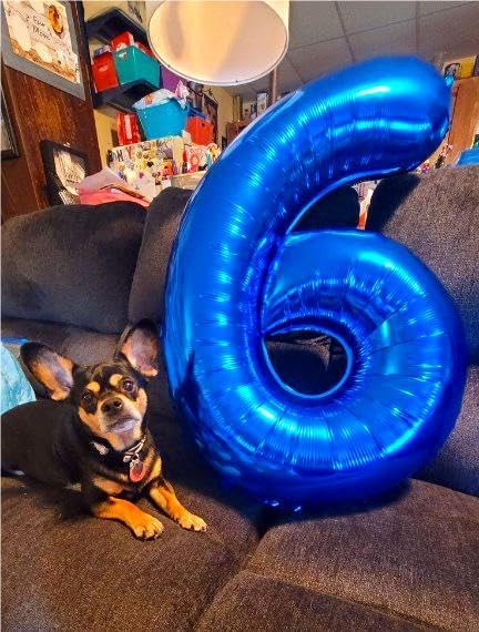 Blue Jumbo Number 60 Balloon 40 Inch, Women Men 60 Birthday Supplies, Foil - Image 5