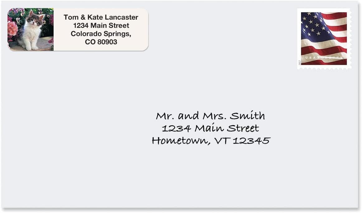 Cute Kittens Rolled Personalized Return Address Mailing Labels with Dispenser, Set of 250, 5 Designs, Small ¾ x 2½ Inch Size, Custom Self-Adhesive Sticker Roll, by Colorful Images