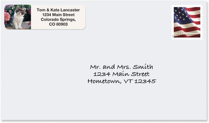 Cute Kittens Rolled Personalized Return Address Mailing Labels with Dispenser, Set of 250, 5 Designs, Small ¾ x 2½ Inch Size, Custom Self-Adhesive Sticker Roll, by Colorful Images