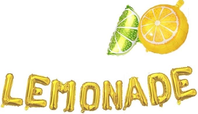 Lemonade Banner for Lemonade Stand Decorations, Summer Lemon Party Decorations - Image 3