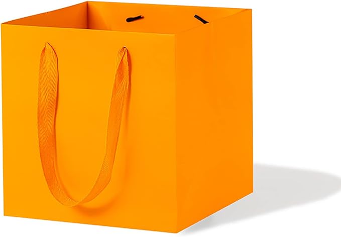 Orange Paper Gift Bag Small Square Bottom Kraft Paper Bags with Handles for Wedding Baby Shower Birthday Party (Orange, 8 x 8 x 8 in, 10 CT)