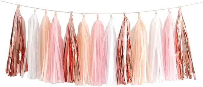 We Moment 20pcs Shiny Tassel Garland Banner Tissue Paper Tassels by We+Moment