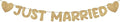 Pre Strung Just Married Banner Glitter Wedding Party Banner No DIY Just Married by Breling