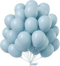 PartyWoo Dusty Blue Balloons 100pcs Light Blue Aqua Boho Color | 12 Inch by PartyWoo