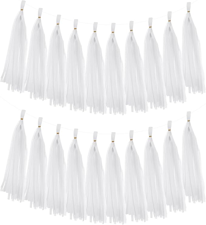 MECCANIXITY 20Pcs Tassel Garland Banner Tissue Paper by MECCANIXITY