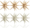 HILAVO 6PCS Star Balloons, 22Inch Large Cream Caramel Star Balloon Foil by HILAVO