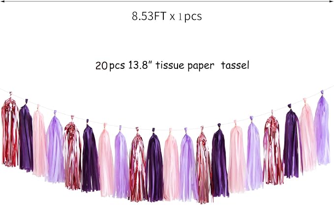 Pink-Purple Rose-Gold Party-Decorations Tassel Garland - Image 3