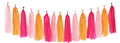 Hot-Pink Orange Fall Party-Decorations Tassel-Garland by Panduola