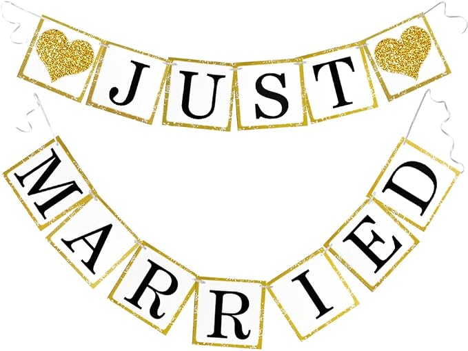 Wedding Banner Decorations Just Married Paper Garland Supplies | Proposal by Letjolt