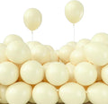 PartyWoo Pastel Yellow Balloons 50pcs Light Pale Yellow Color | 5 Inch Balloons by PartyWoo