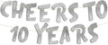 Pre-Strung Cheers to 10 Years Silver Glitter Banner by SterlingJamesCo