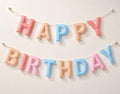 Felt Happy Birthday Garland Rainbow Banner Reusable Happy Birthday Sign Party by Mindsoft