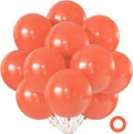 Blush Balloons 18 Inch 24 Pack Matte Helium Latex Round Pink Balloons by KALOR