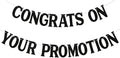 Congrats on Your Promotion Banner by Nyvvira