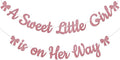 A Sweet Little Girl is on Her Way Banner by Yochamc