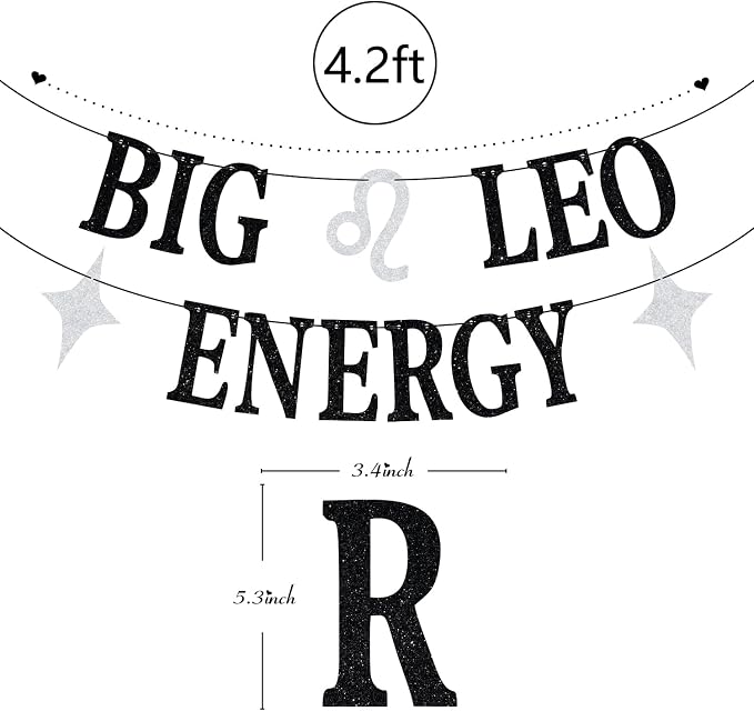 Big Leo Energy Banner, 12 Constellation Zodiac Birthday Party Decorations | Leo - Image 6