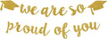 2026 Graduation Decorations Pre-Strung Blingbling We Are So Proud of You Banner by Unknown