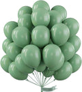 PartyWoo Sage Green Balloons 50pcs Olive Eucalyptus Dusty Green Boho Color | 12 by PartyWoo