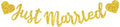 BEISHIDA Gold Just Married Banner by Beishida