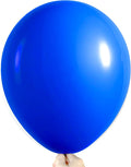 Firomi Royal Blue Balloons 18-inch 12 Pack Large Thicken | Helium Big Blue by Firomi