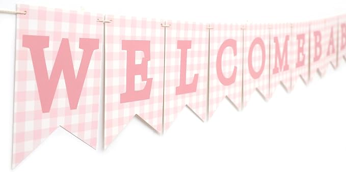 Pink Gingham Welcome Baby Shower Banner - Image 3