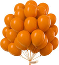 PartyWoo Burnt Orange Balloons 100pcs 12 Inch Terracotta Rust Fall Color Autumn by PartyWoo