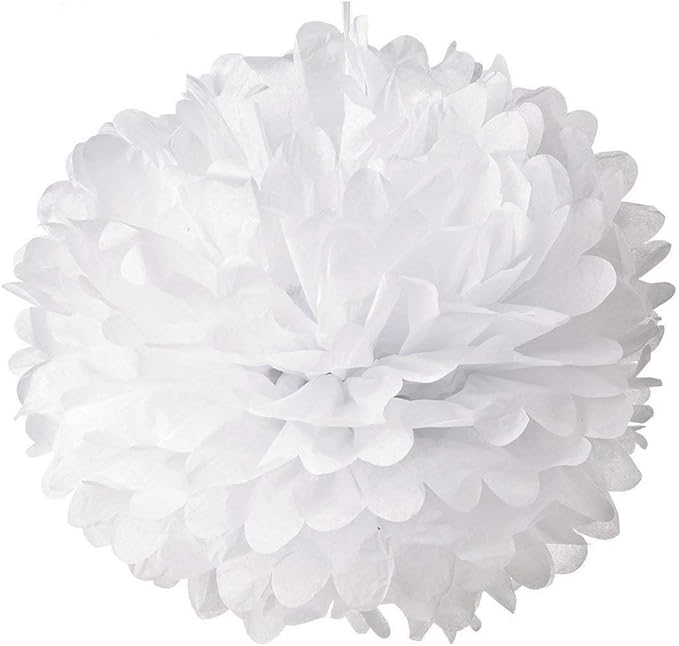 10pcs White Tissue Hanging Paper Pom-poms, Hmxpls Flower Ball Wedding Party by Hmxpls