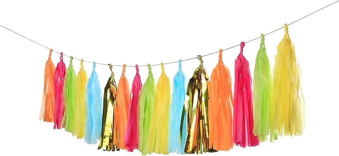 Meetppy 30PCS Mexican Fiesta Cactus Tassel Garland Tissue Paper Tassels Banner - Image 2