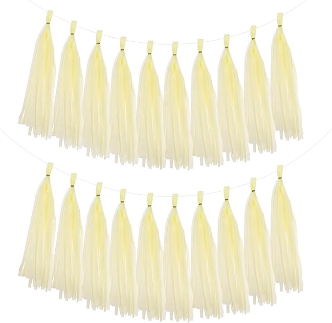 MECCANIXITY 20Pcs Tassel Garland Banner Tissue Paper by MECCANIXITY