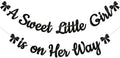 A Sweet Little Girl is on Her Way Banner by Yochamc