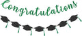 Class of 2026 Graduation Decorations Pre-Strung Glitter Congratulations Banner by Unknown