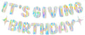 Iridescent It's Giving Birthday Banner, Pre-Strung Fun Birthday Decorations by Unknown